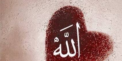 14448826_1767027400212205_5690850283143369041_n