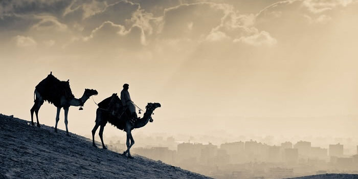 monochrome_camels_w1