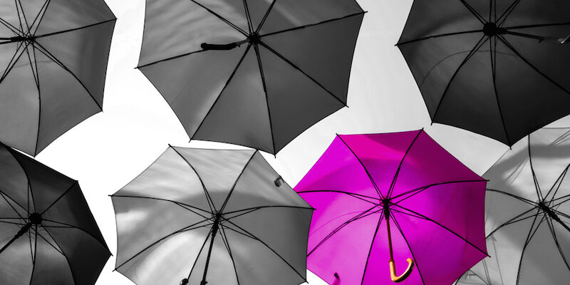 shutterstock_309952775