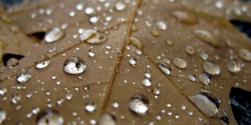 dummy-800×600-raindrops
